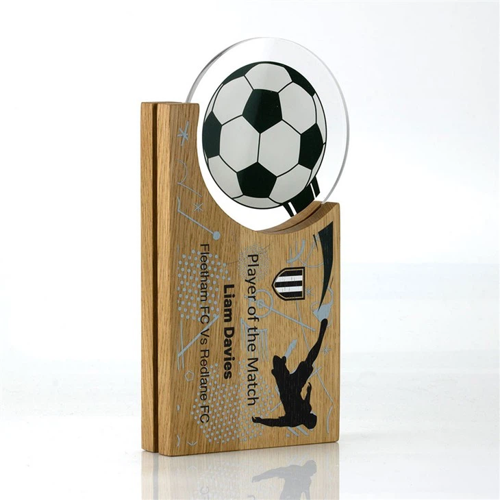 Wood Hovering Circle Sports Award best